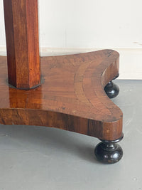 19th Century New Zealand Specimen Table