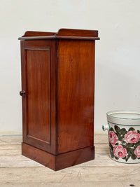 A Mid 19th Century Mahogany Pot Cupboard